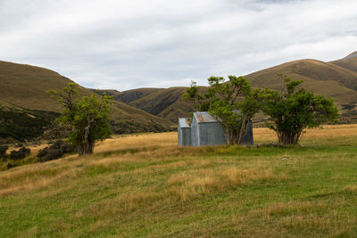 Shack in a field