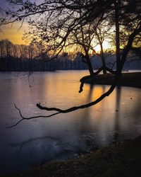 Silhouette bare tree by lake against sky during sunset