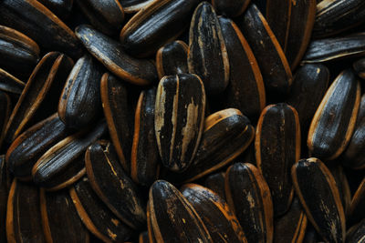 Full frame shot of sun flower seeds 