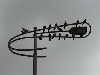 Low angle view of weather vane against clear sky