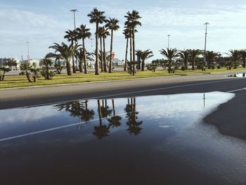 Reflection of trees in water