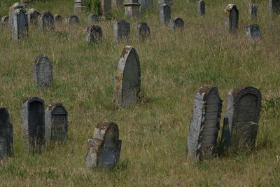 Panoramic view of cemetery on field