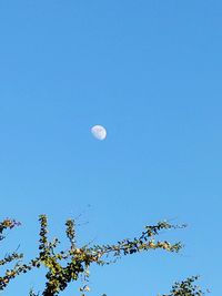 Low angle view of moon against clear blue sky