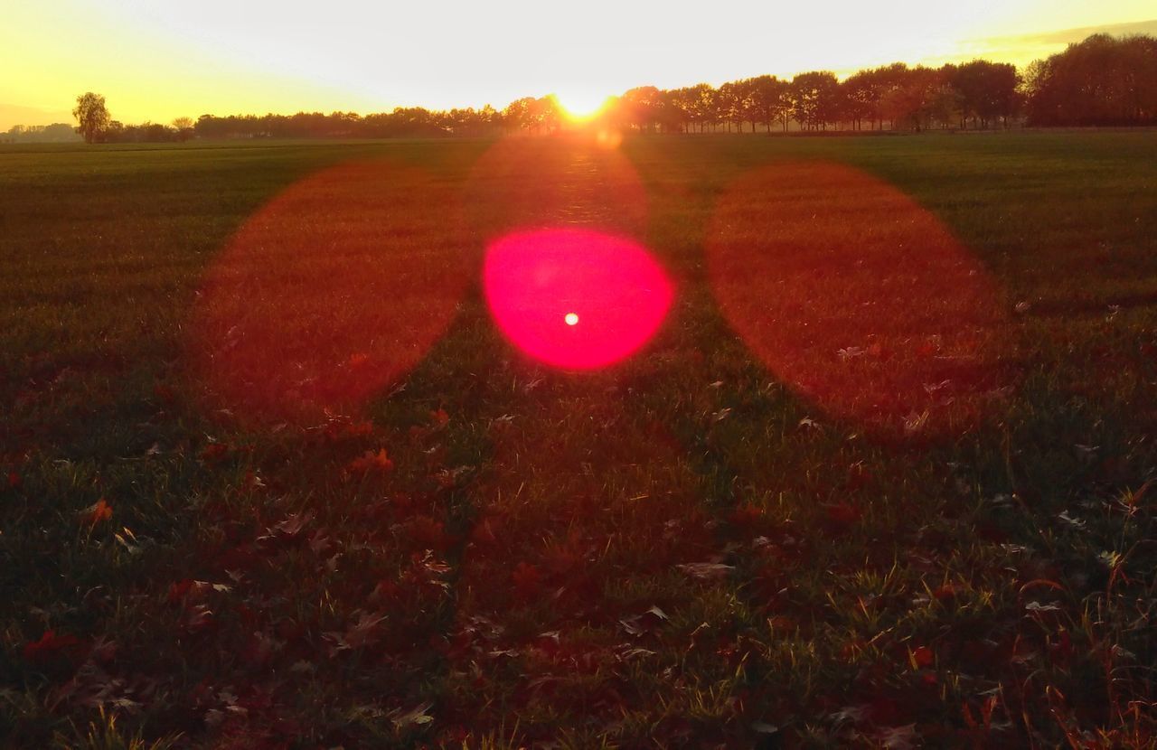 VIEW OF FIELD AGAINST SKY DURING SUNSET