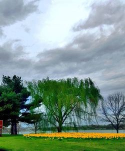 Scenic view of field against cloudy sky