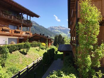 Houses amidst trees and buildings in town against sky