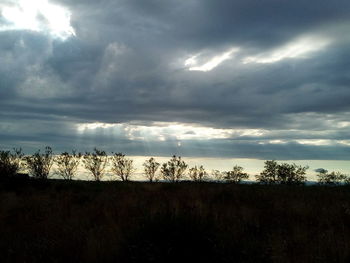 Silhouette trees on field against storm clouds