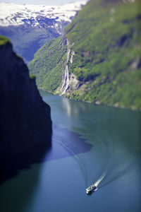 Close-up of horse in water