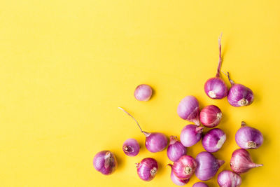 High angle view of fruits against white background