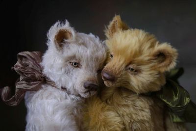 He and she, a loving couple of handmade collectible teddy bears, suitable for printing, calendaring