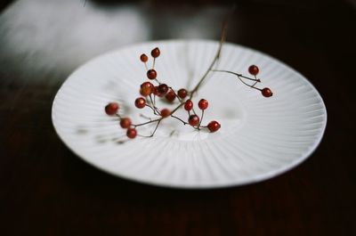 Close-up of food
