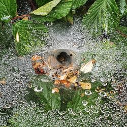 High angle view of pipe on tree trunk