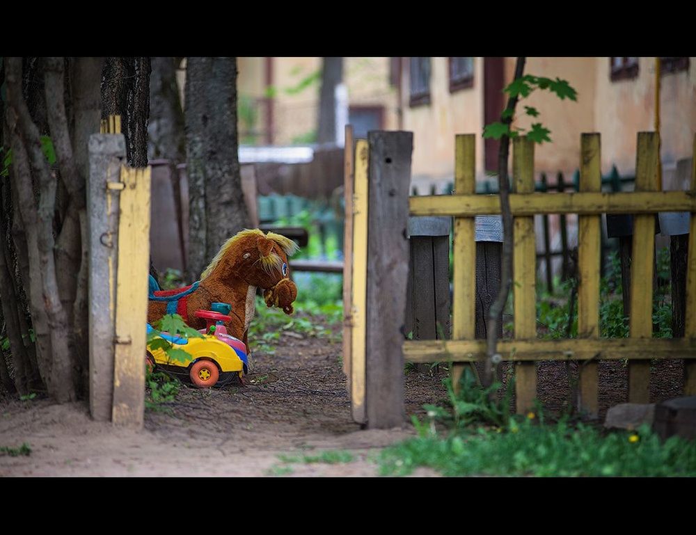 VIEW OF COLORFUL FLYING IN ZOO