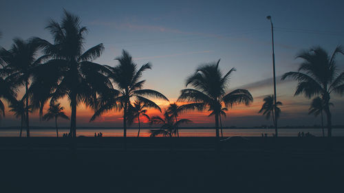 Silhouette palm trees by swimming pool against sky during sunset
