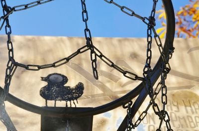 Low angle view of bird against sky