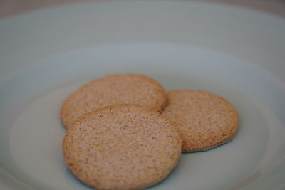 High angle view of cookies in plate