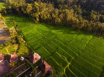 High angle view of landscape