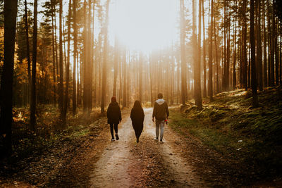 Rear view of women walking on footpath in forest