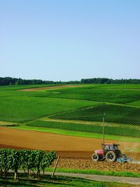Scenic view of agricultural landscape against clear sky