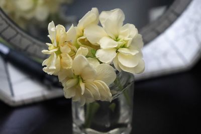 Close-up of white flower vase on table