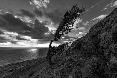 Scenic view of sea against sky at dusk