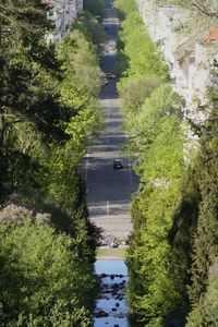 High angle view of footpath amidst trees in city