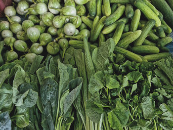 Full frame fresh green vegetables over piles of eggplants and cucumbers