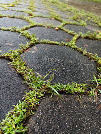 Hexagonal paving block is commonly used on indonesian street in the 80s to 90s