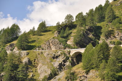 Bridge over river