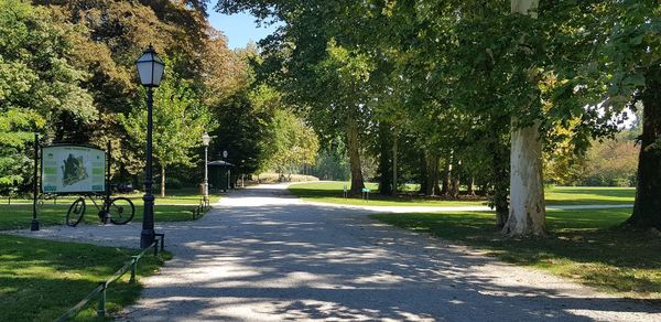 Street amidst trees in park