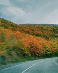 Road by trees against sky during autumn