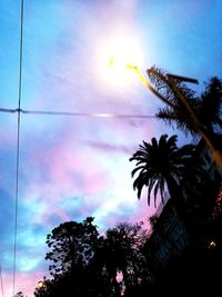 Low angle view of silhouette trees against sky at sunset
