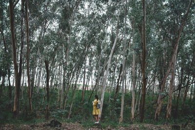 Man standing by trees in forest