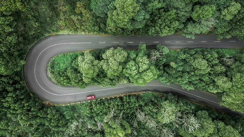 Aerial view of curve road with car trough the dense woods on the high mountain in madeira island