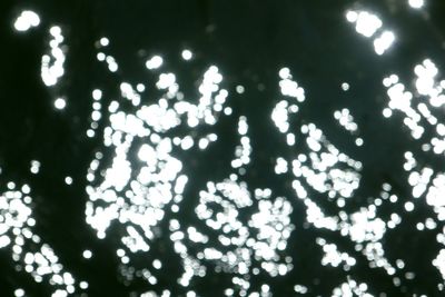 Defocused lights at night