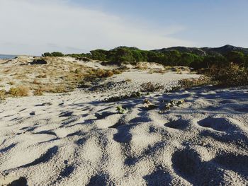 Scenic view of beach against sky
