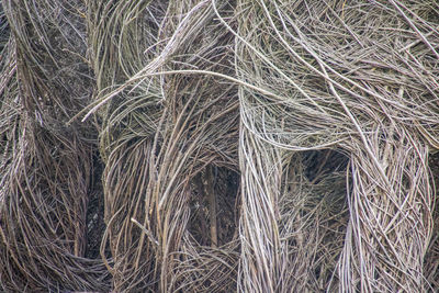 Full frame shot of dry grass