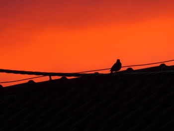 Silhouette man on roof against orange sky