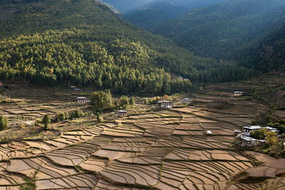Scenic view of landscape with mountain in background