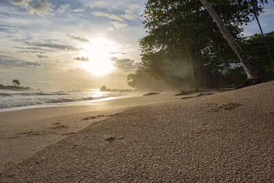 Scenic view of beach against sky during sunset