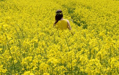 yellow