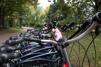 Bicycles riding bicycle on road