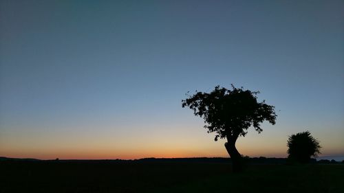Silhouette tree on field against clear sky at sunset