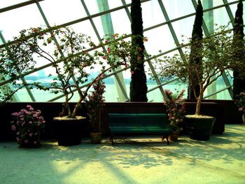 Potted plants on the wall