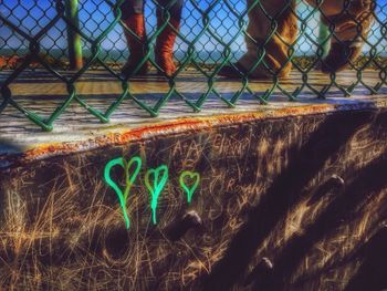 View of chainlink fence