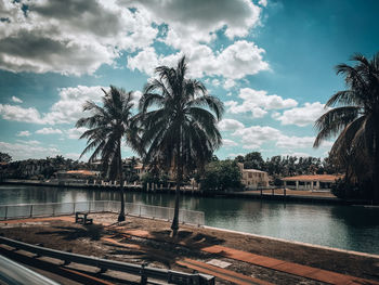 Palm trees by swimming pool against sky