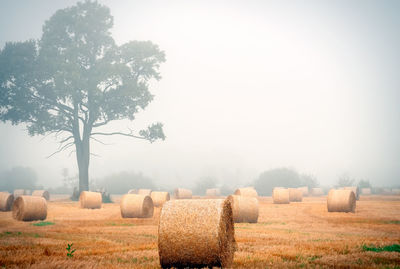 Hay bales on field against sky