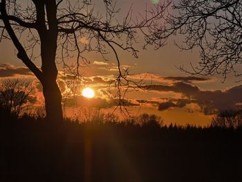 Silhouette bare trees on landscape against sky during sunset