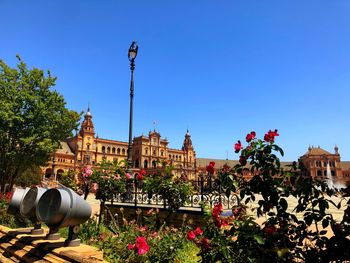 Plants and buildings against blue sky