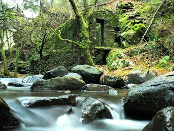 River flowing through rocks in forest